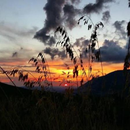In Sicilia Da Ciro Panzió Vita Kültér fotó